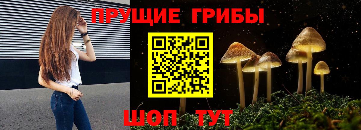 Алексеевка  Галлюциногенные грибы мухоморы  закладки  Вход с VPN 